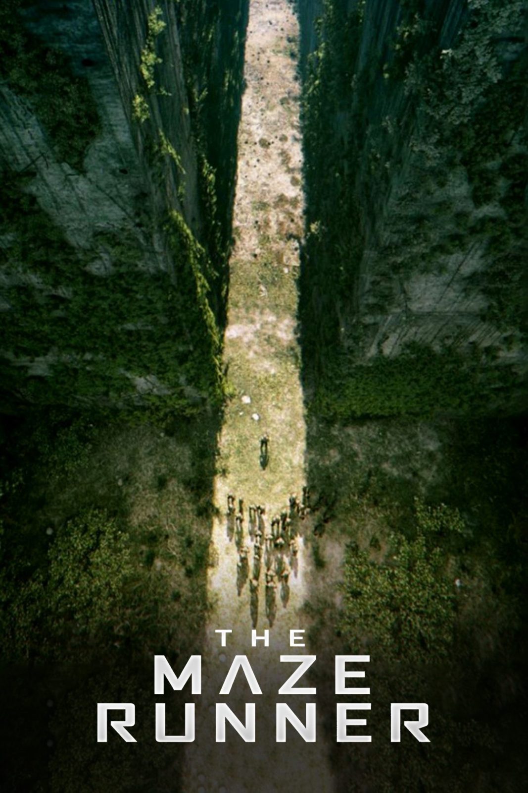 دانلود فیلم The Maze Runner 2014 دانلود فیلم The Maze Runner 2014
