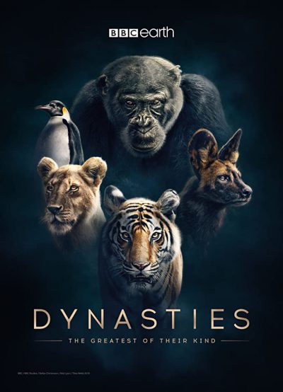 دانلود سریال Dynasties دانلود سریال Dynasties
