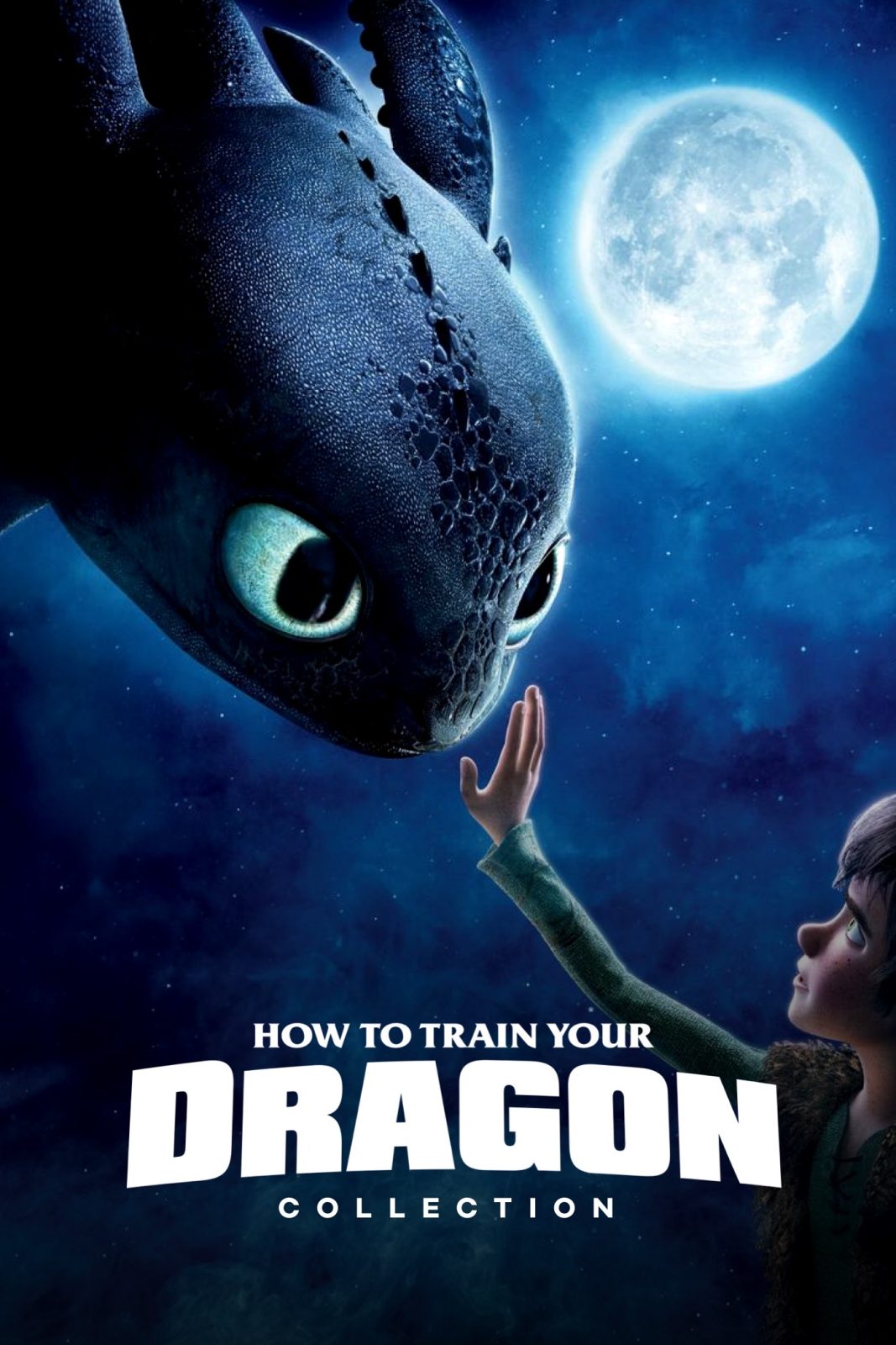 دانلود کالکشن انیمیشن How to Train Your Dragon دانلود کالکشن انیمیشن How to Train Your Dragon